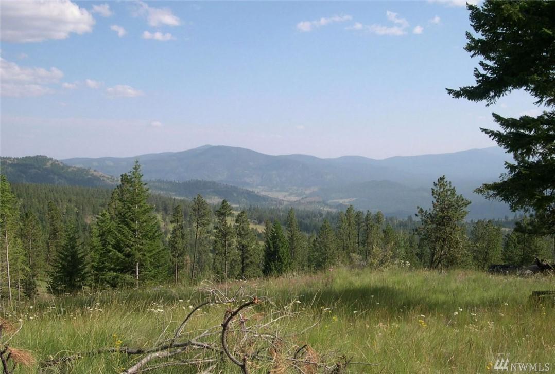 0 Aeneas Valley Rd/Nf-40 - Photo 1