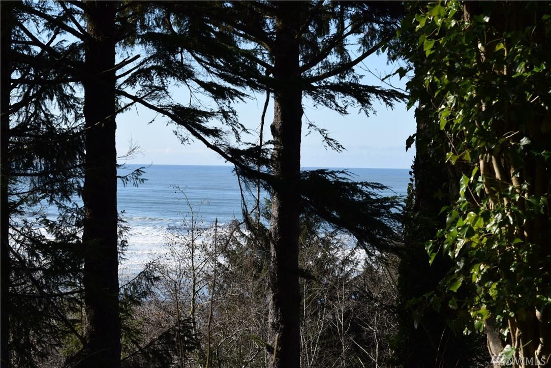 0-xxx Ocean View Dr - Photo 1