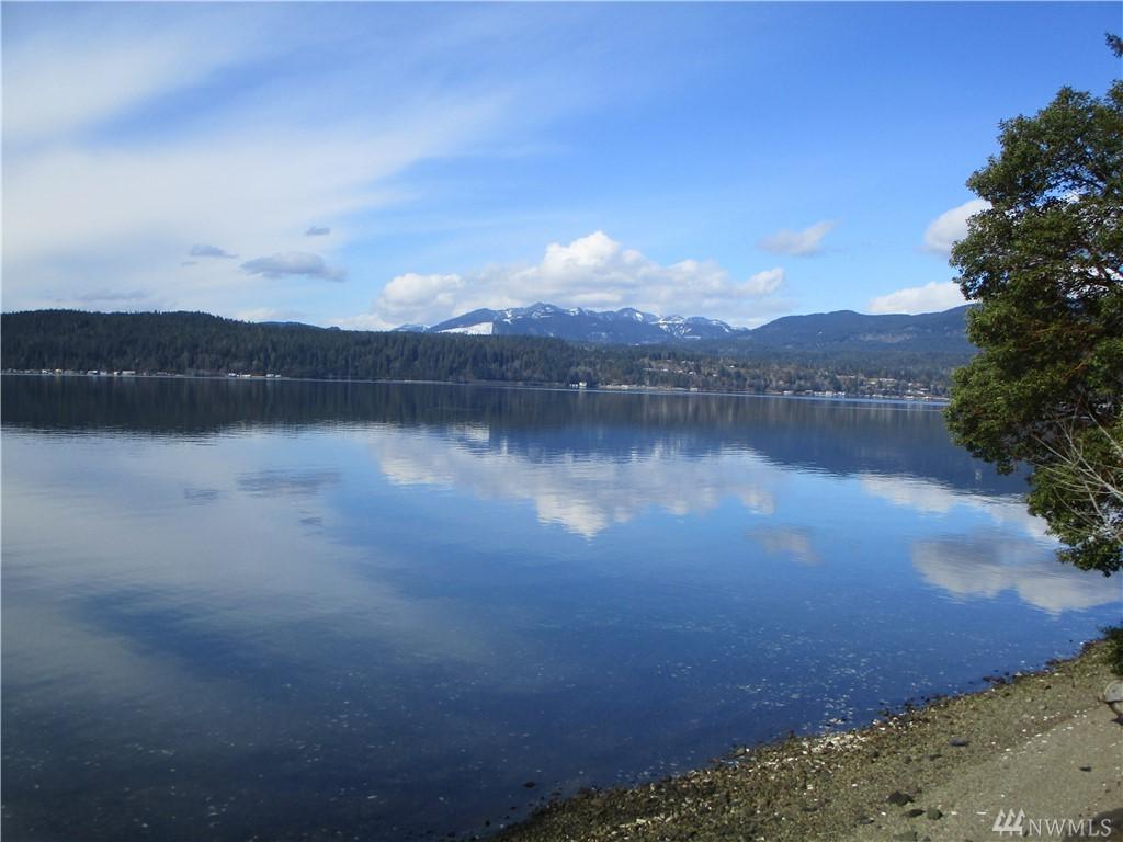 0 Tr 19 North Shore Rd - Photo 1