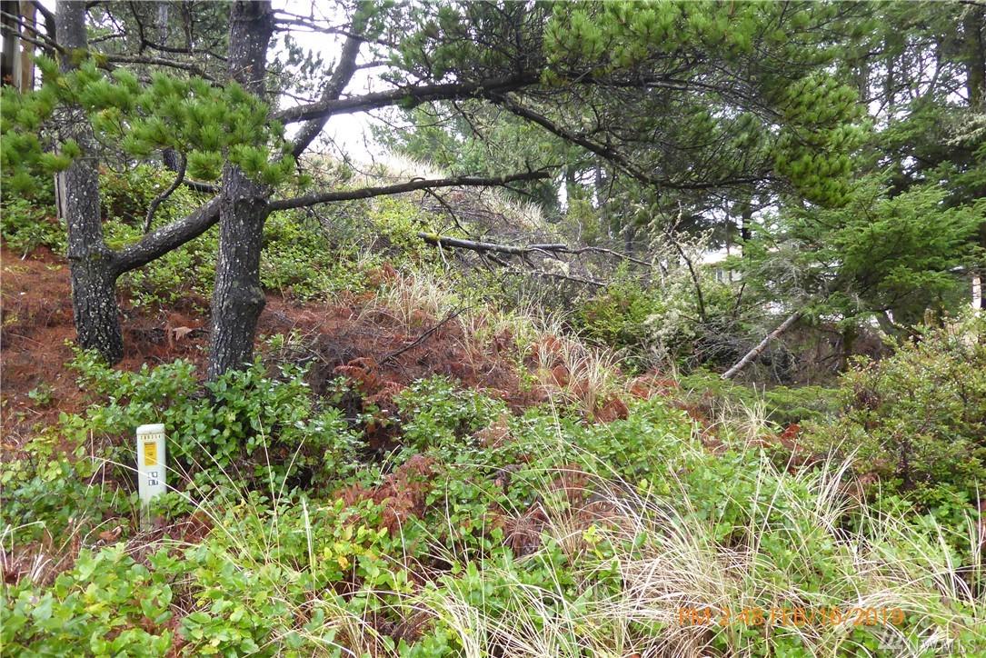 5-(Lot 5) K Lane - Photo 1