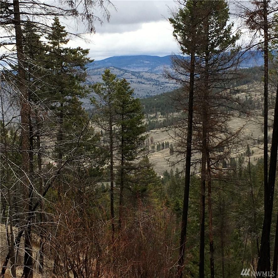 0 Tbd Broken Spoke Rd - Photo 1