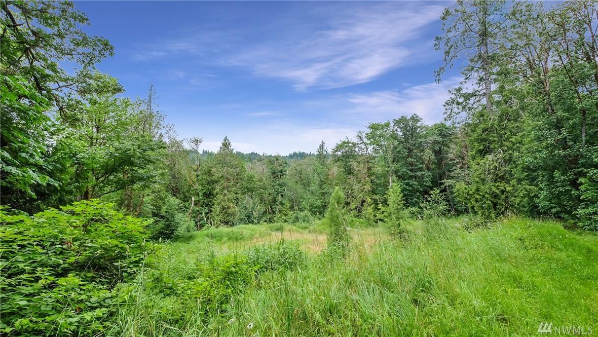 6815 Sedgwick Rd - Photo 1