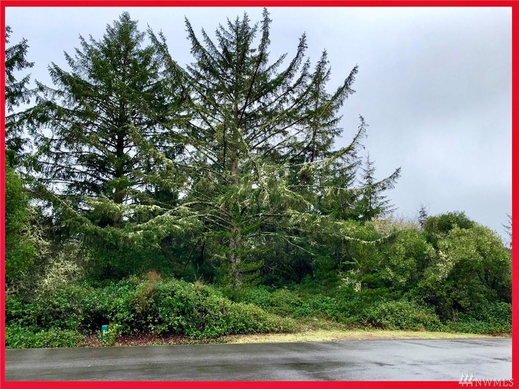 157 Razor Clam Dr - Photo 1