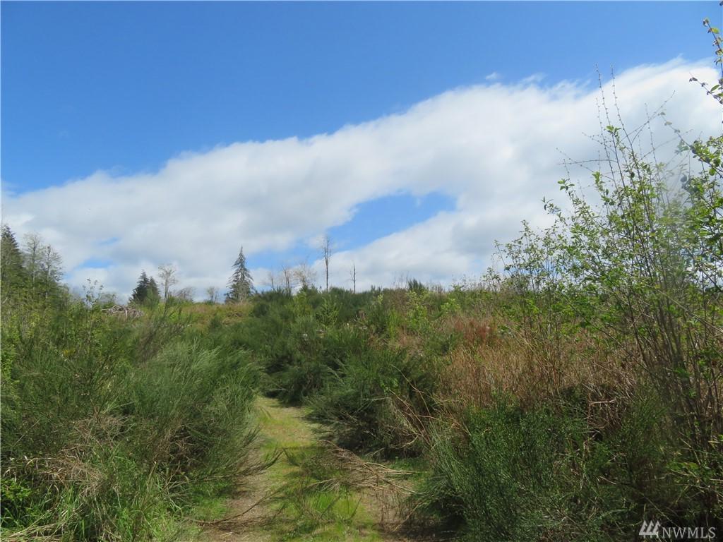 0 Hatfield Rd - Photo 1