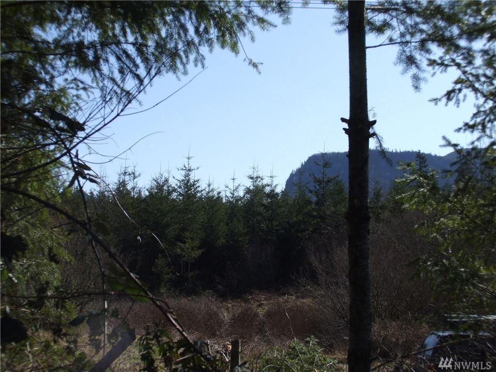 36610 Veazie Cumberland Rd - Photo 1