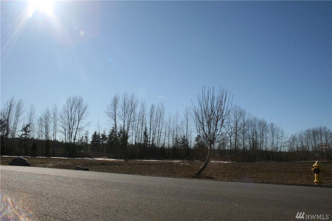 2160-Tract 7 Sbsp 3 Buchanan Loop - Photo 1 2160-Tract 7 Sbsp 3 Buchanan Loop - Photo 1