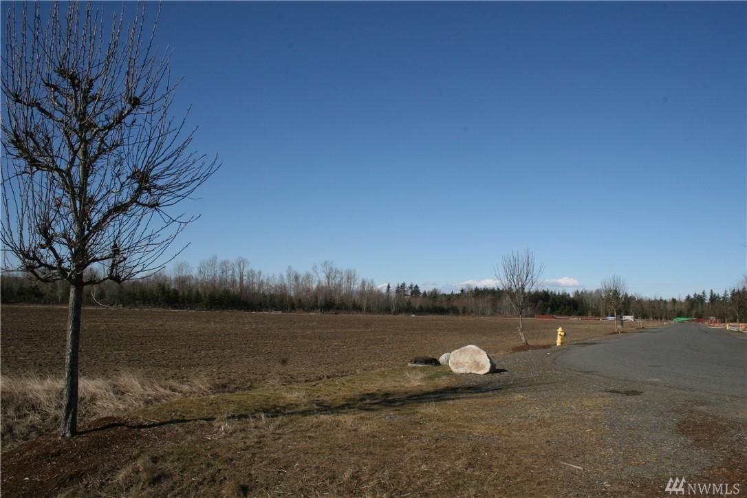 2160-tract 3 Buchanan Loop - Photo 1