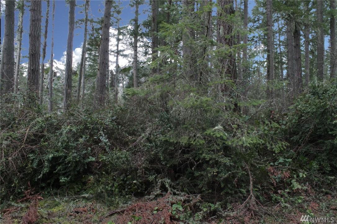 11414 Leschi Cir - Photo 1