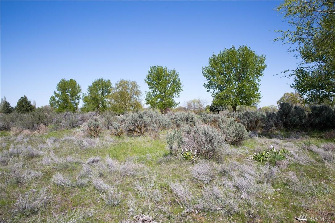 19195 St Andrews Dr - Photo 1