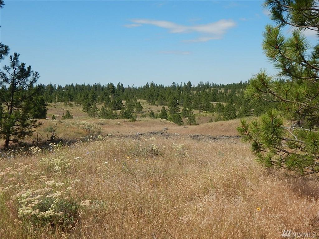 0-Lot 8 Prairie Lane - Photo 1