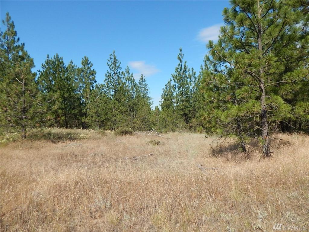 0-Lot 12 Prairie Lane - Photo 1