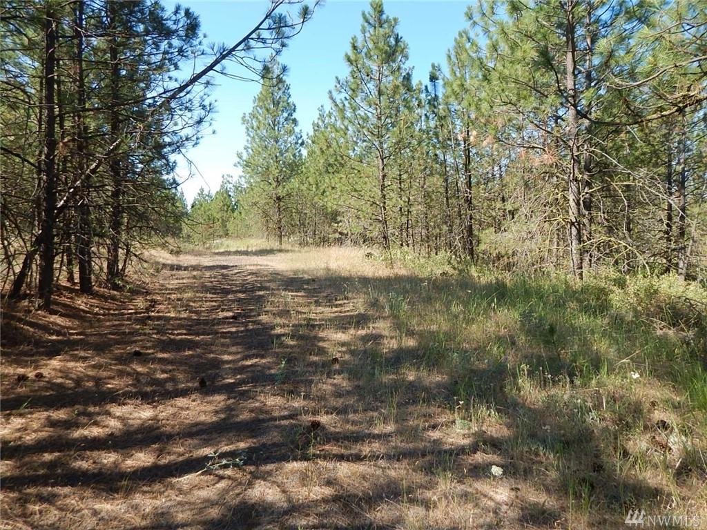 0-Lot 13 Prairie Lane - Photo 1