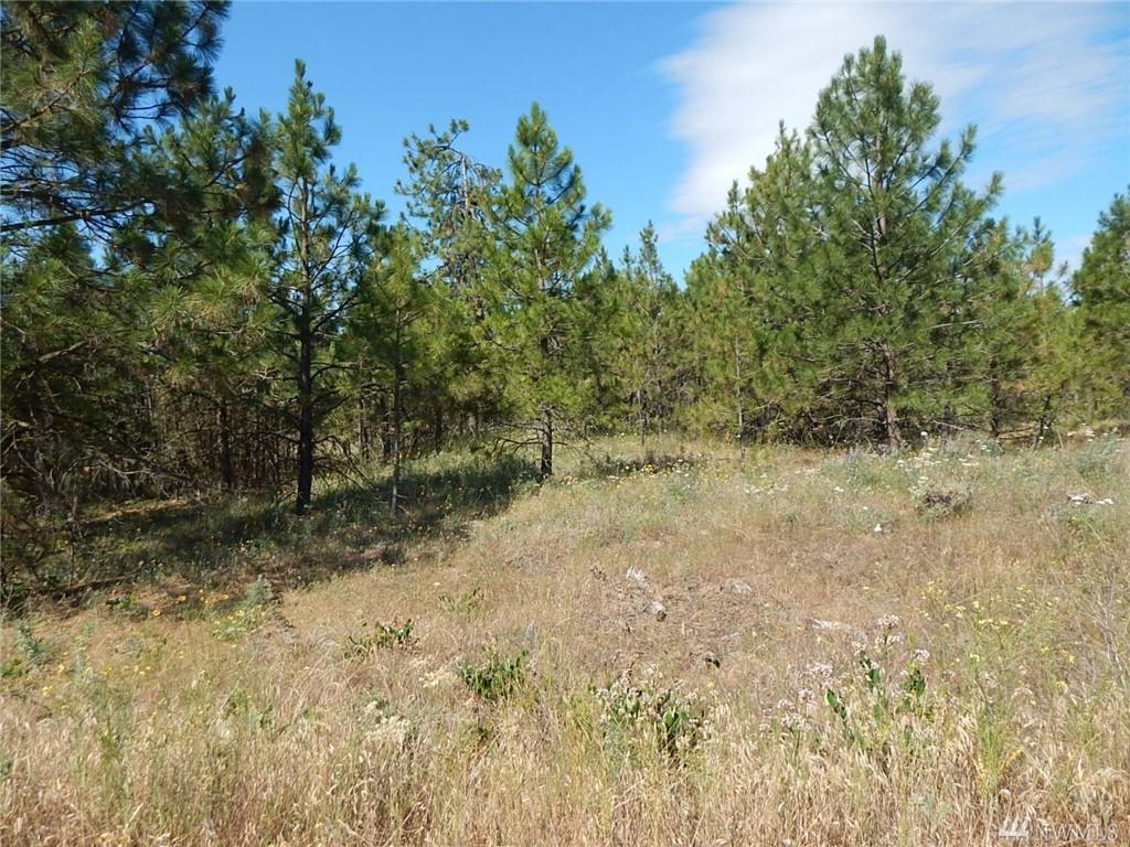 0-Lot 11 Prairie Lane - Photo 1
