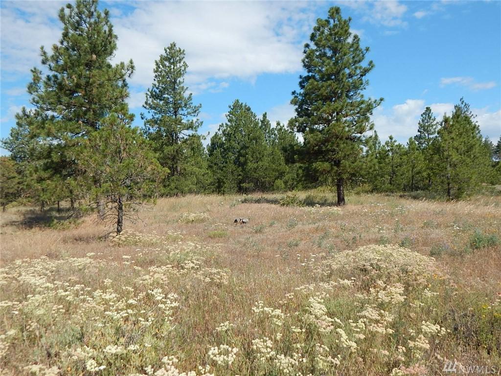 0-Lot 14 Prairie Lane - Photo 1