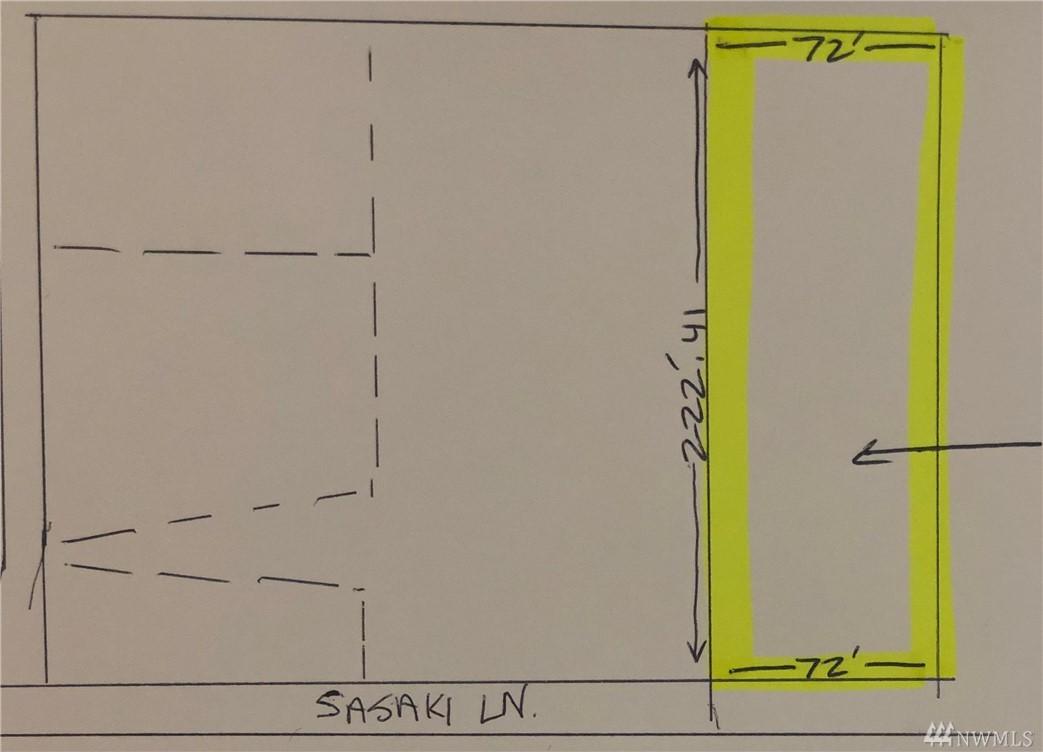 111 Sasaki Lane - Photo 1
