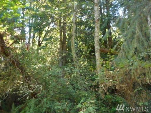 0 Camano Ridge - Photo 1