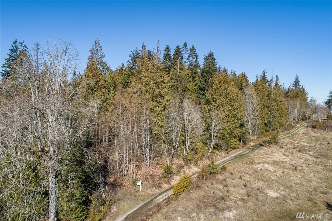 9999 Bagley Creek Rd - Photo 1