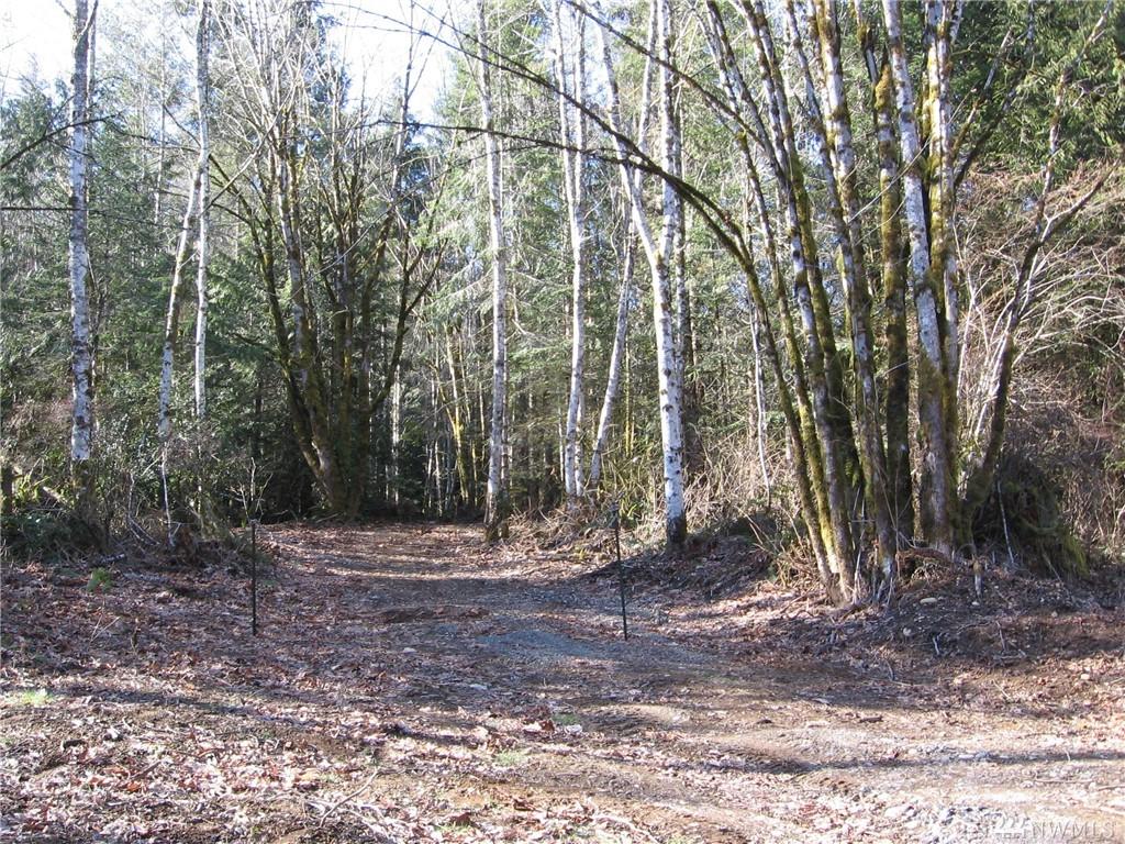 0 Lot 7, Ne Blue Ridge Dr - Photo 1
