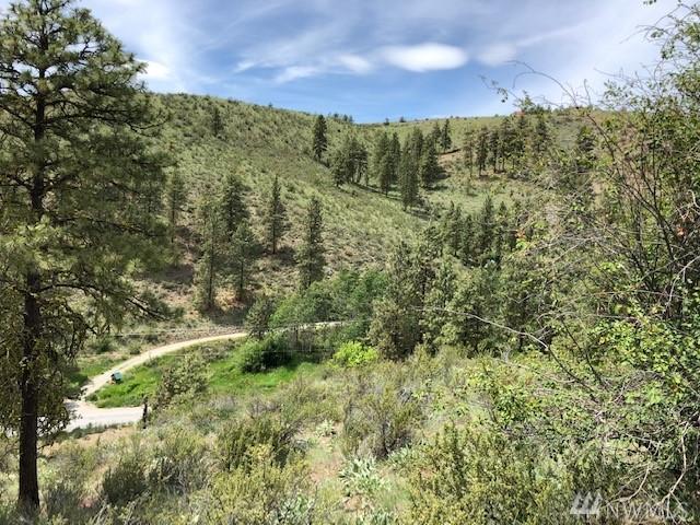 0 Cooper Gulch Rd - Photo 1
