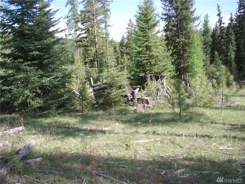 0 Usfs Road No. 3010 - Photo 1
