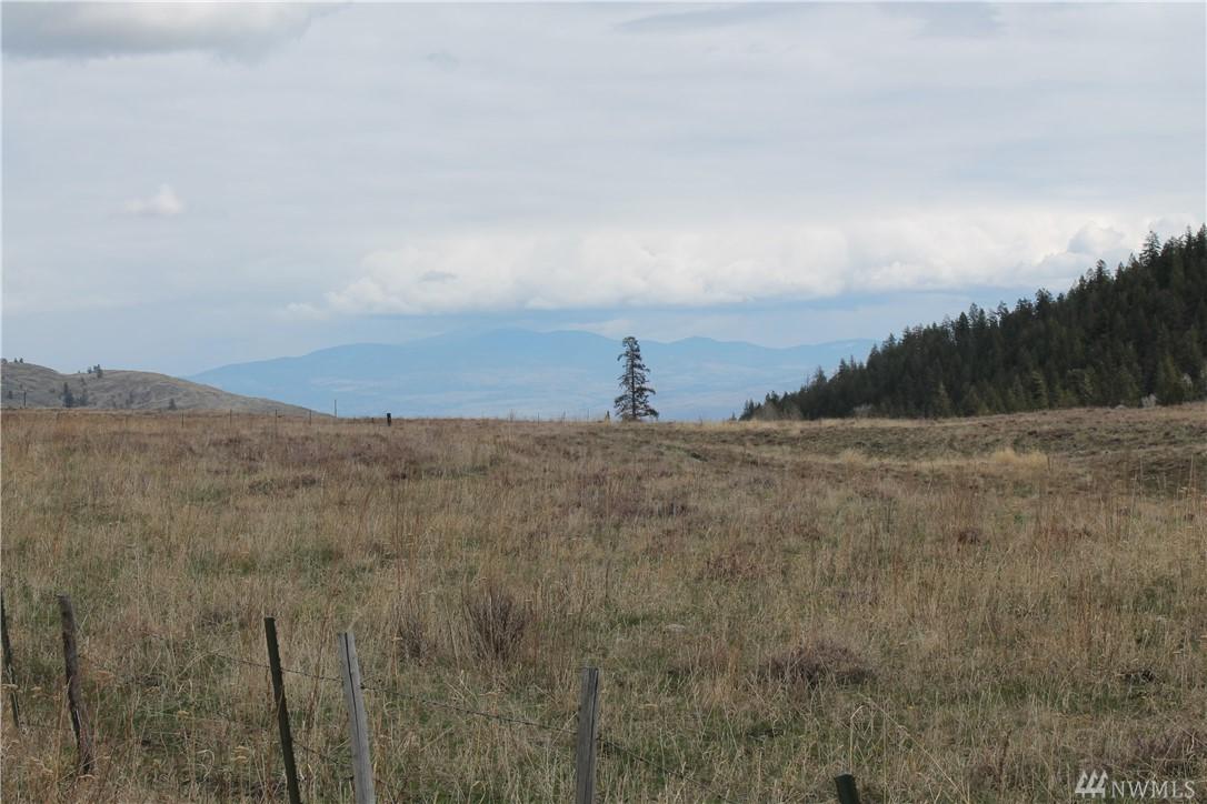 1-TBD Pine Creek Rd - Photo 1