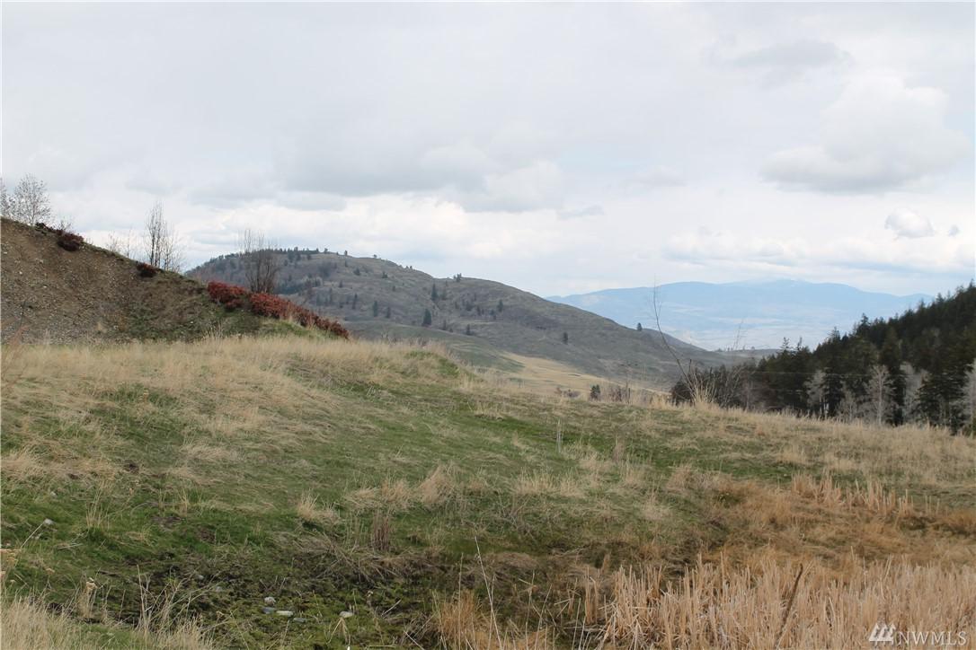 2-TBD Pine Creek Rd - Photo 1
