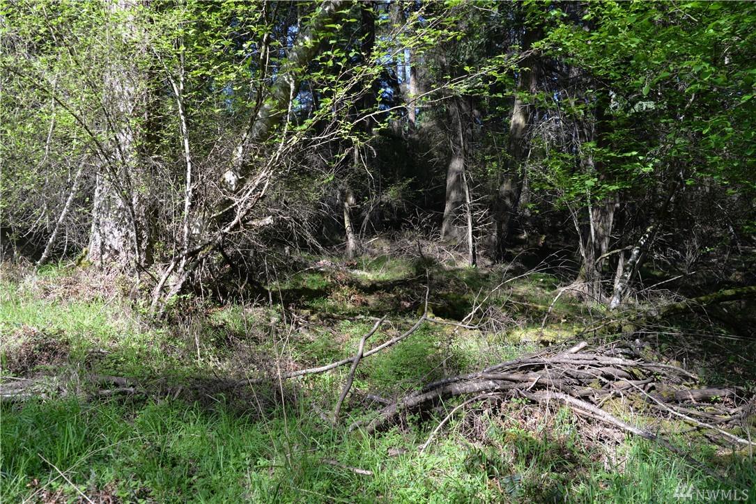 2200 Point Lawrence Road - Photo 1