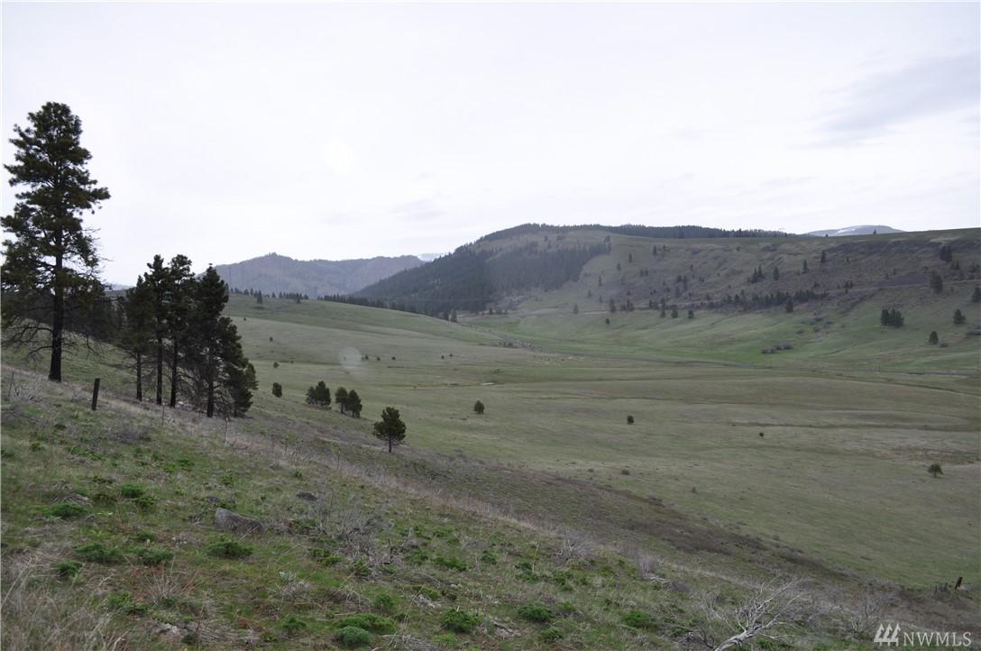1-XX Low Rd - Photo 1