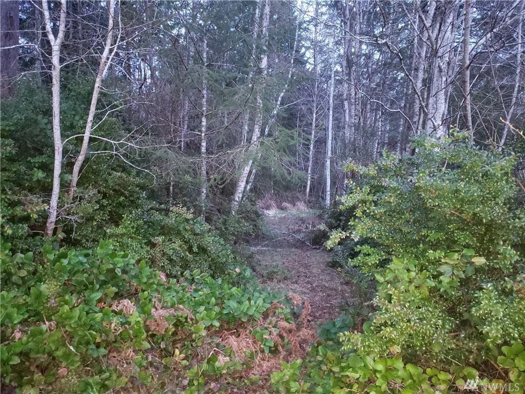 31 Rose Lane - Photo 1