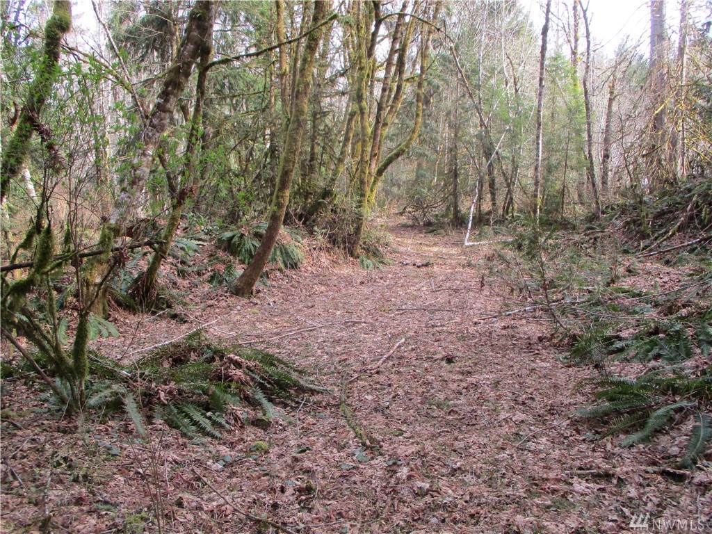 0 Lot 4 Sp 2668 Mason Benson Rd - Photo 1