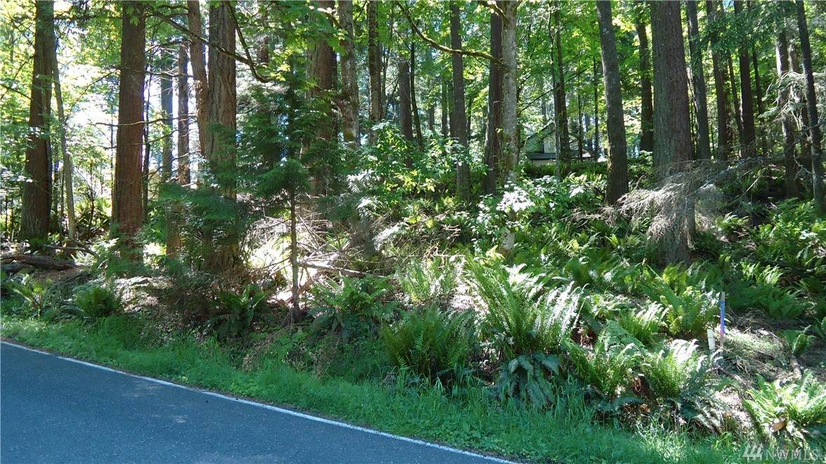 103 Sudden Valley Dr - Photo 1