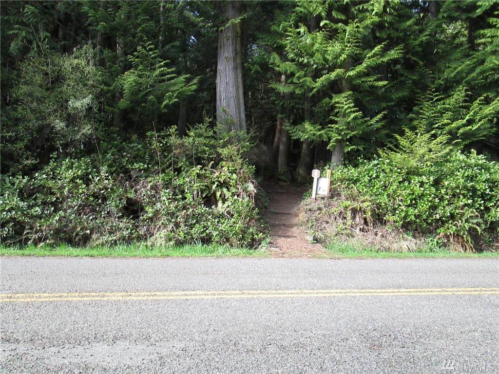 0-Lot 29 Rainier Lane - Photo 1