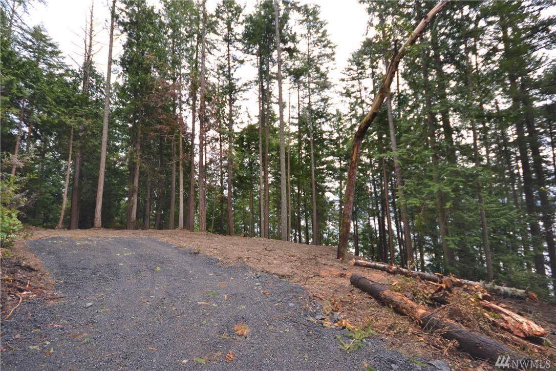 0-Lot 6 Whitney Rd - Photo 1