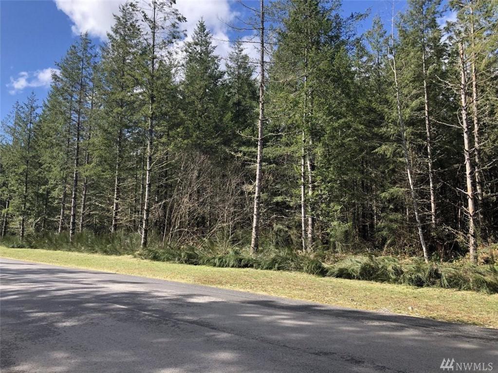 0-Lot 67 318TH Dr - Photo 1