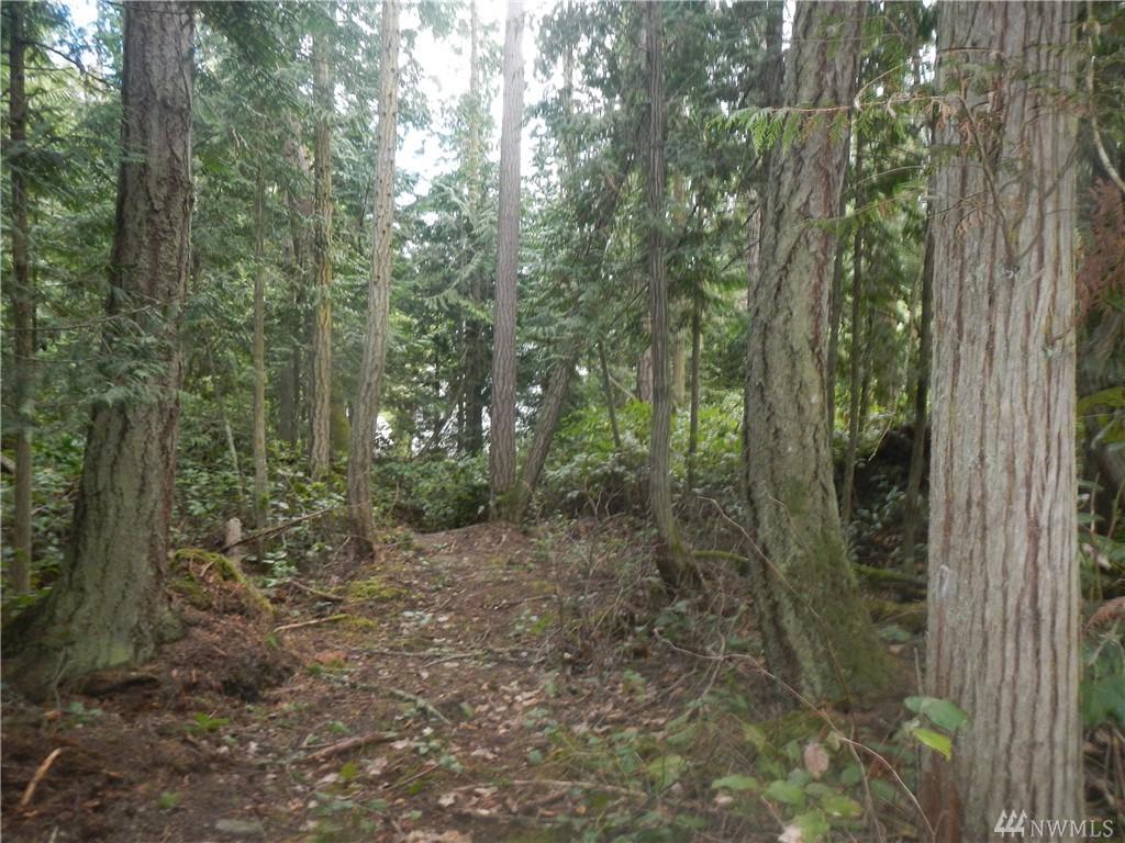 0 Doe Place - Photo 1