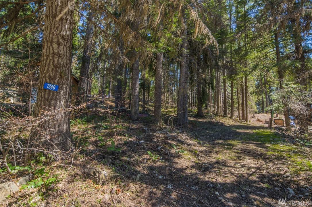 1240 Pineloch Sun Dr - Photo 1