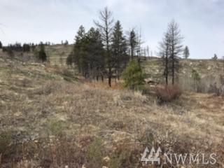 719 Indian Dan Canyon Rd - Photo 1