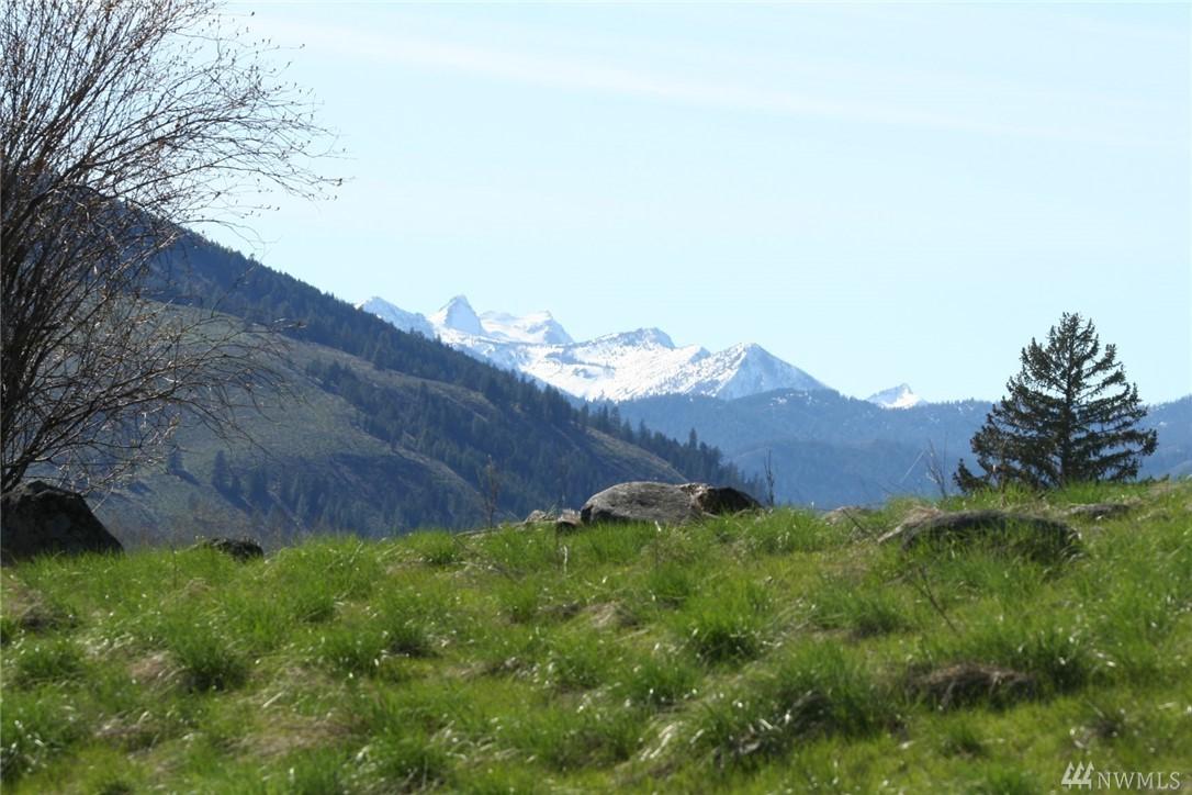 0 Twisp River Rd - Photo 1