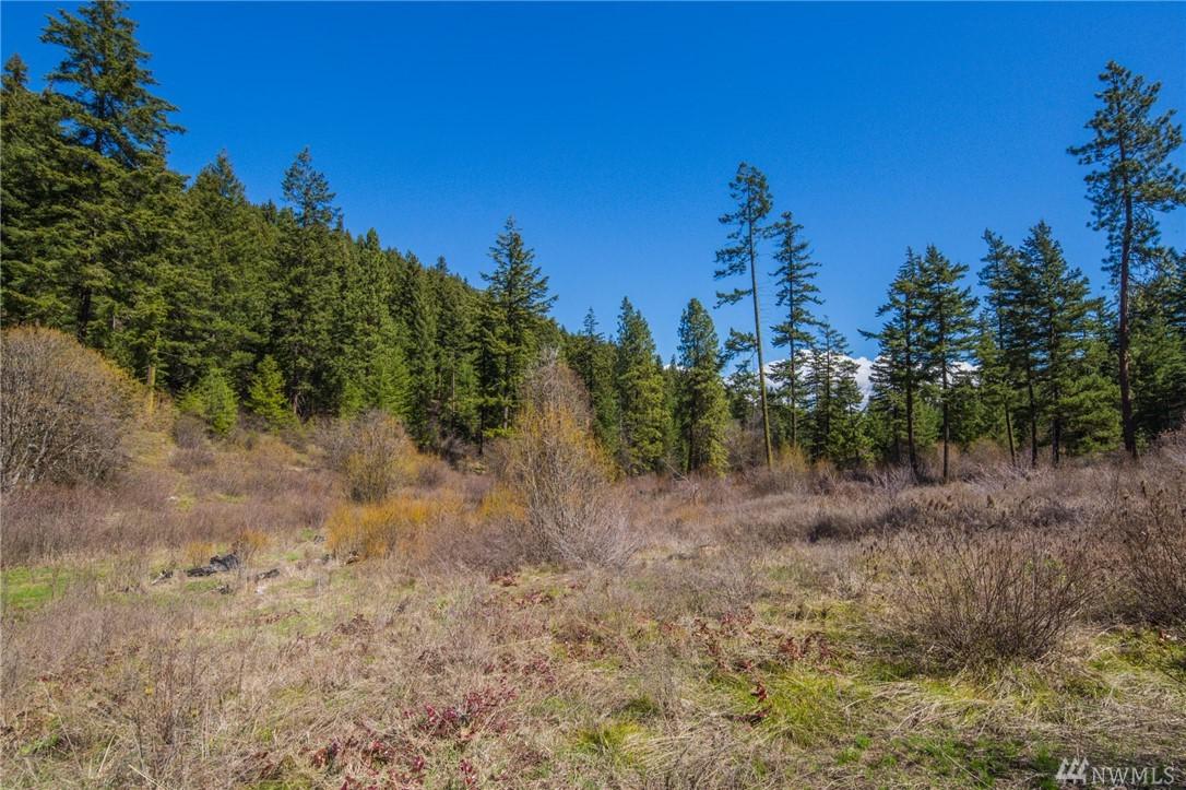 0 Thornton Creek Lane - Photo 1