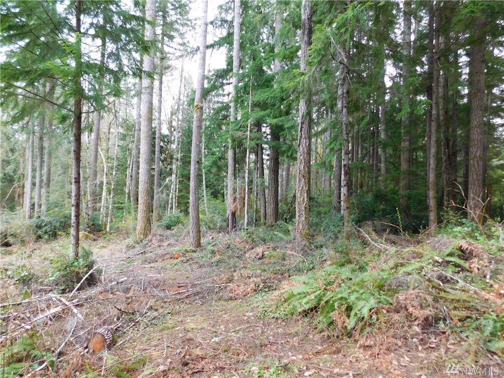 0 Olympic Palisades - Photo 1