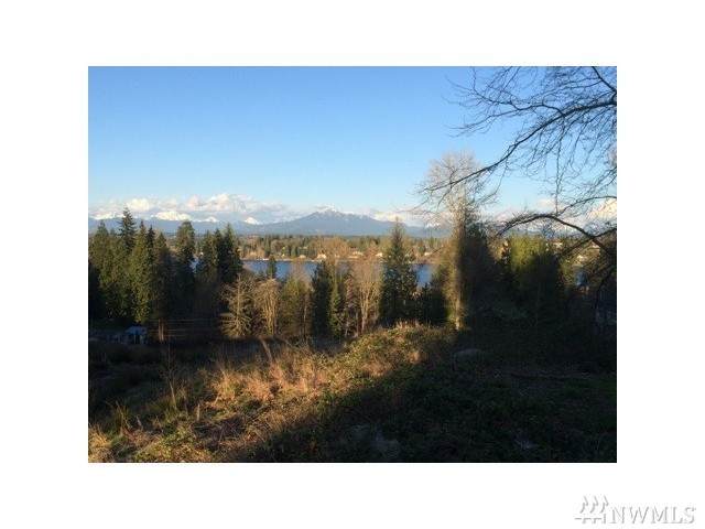 0 103rd Ave - Photo 1