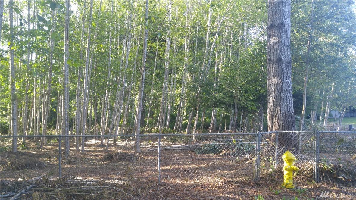 0-XX Shadow Lane - Photo 1