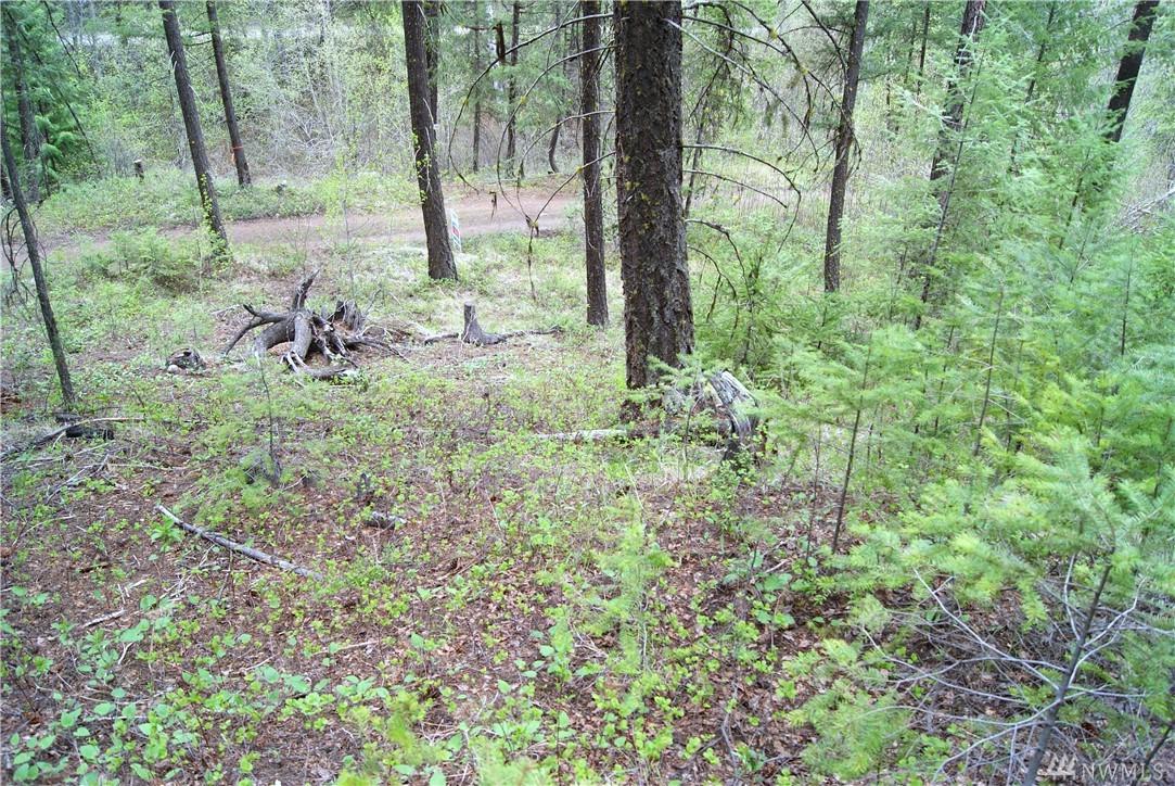 0 Newby Creek Rd - Photo 1