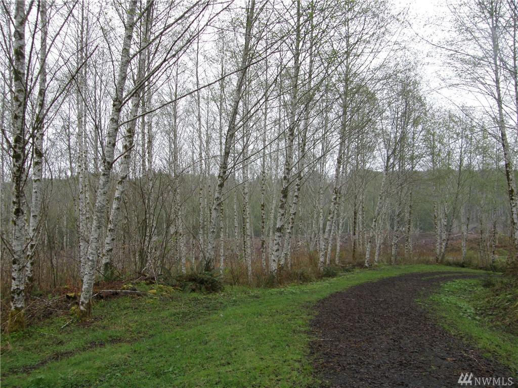 0-M.P. 63 State Route 101 - Photo 1