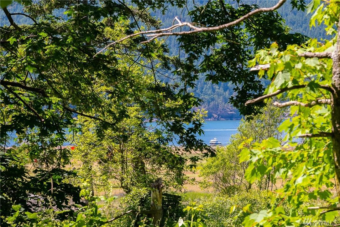 104 Eliza Island - Photo 1