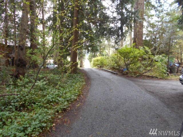 10003 Manitou Beach Dr - Photo 1