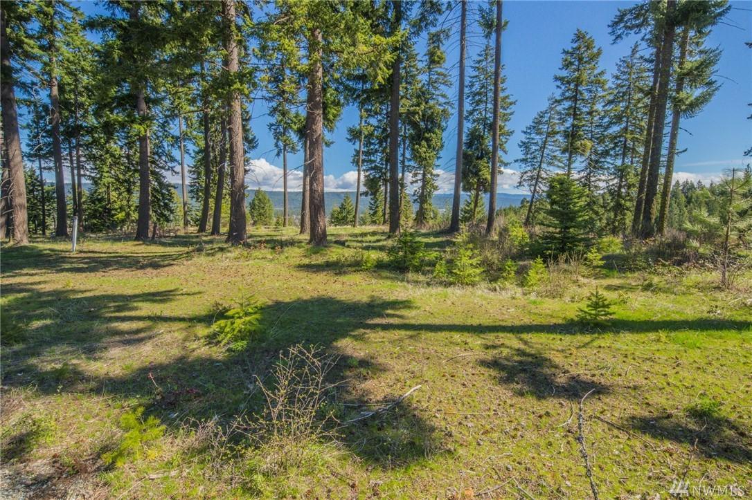 13-Lot Pinnacle Lane - Photo 1