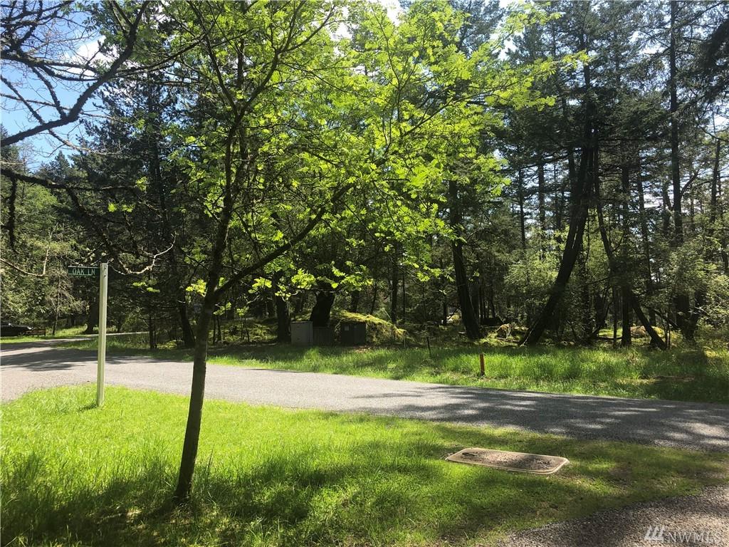 0 Juniper Lane - Photo 1
