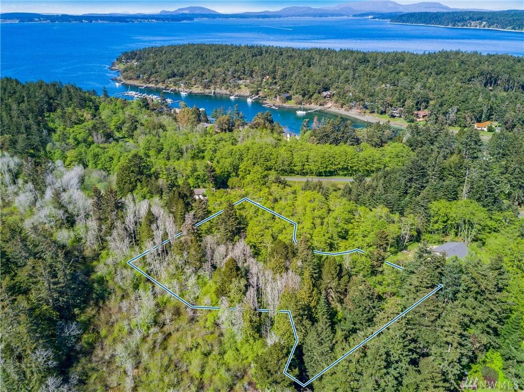 0-Lot 16 Pond Place - Photo 1