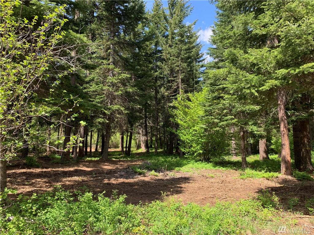 321 Snowberry Lp - Photo 1